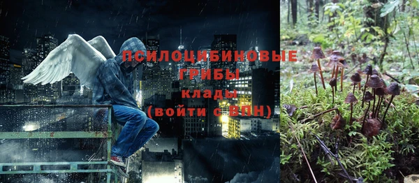 гидропоника Нея