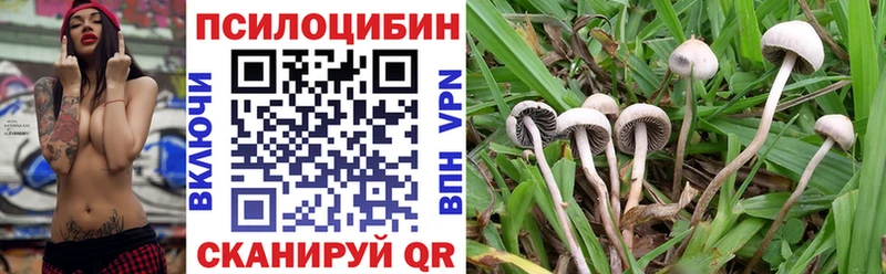 Псилоцибиновые грибы GOLDEN TEACHER Новокубанск